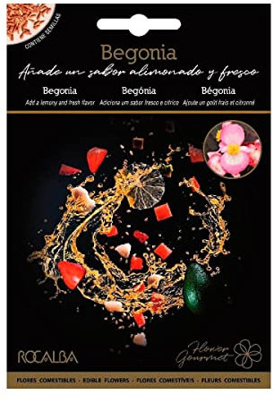 Semillas de flores comestibles de Begonia Rocalba
