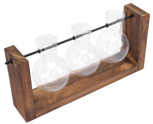 CONGARTENO Glass Planter Bulb Vase with Solid Wooden Stand, Desktop Green Plant Container for Home Décor and Flower Arrangement, Indoor Hydroponic Plant Holder