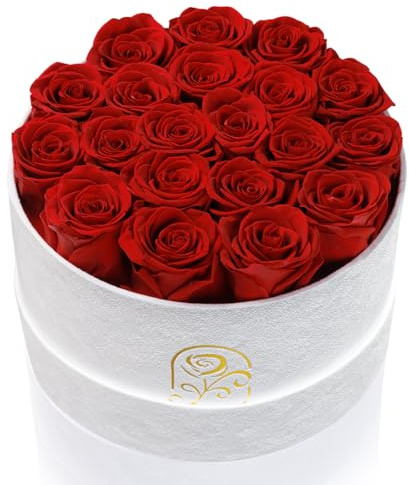 Gifts for Women Preserved Roses Flower Box, Luxury Velvet Box with 20 Roses, Preserved Flowers, Romantic Gift for Her, Wife, Girlfriend, Birthday Anniversary Christmas (Red)