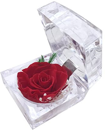DoraMagic Preserved Rose Real Forever Rose in Mini Clear Ring Box, Eternal Flower Rose Gifts for Women Mom Girlfriend Grandma, Mothers Day, Anniversary, Valentines, Christmas, Birthday (Red)