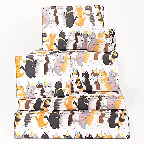 Central 23 - Carta da regalo per gatti divertenti - 6 fogli di carta da regalo - Per uomini donne - Gatto conga - Per proprietari di gatti - Per uomini donne - Riciclabile