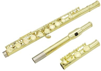 Flauto Do Foro Chiuso Flauto d'oro 16 fori aperti chiusi Chiave C Strumento musicale da concerto per flauto traverso professionale