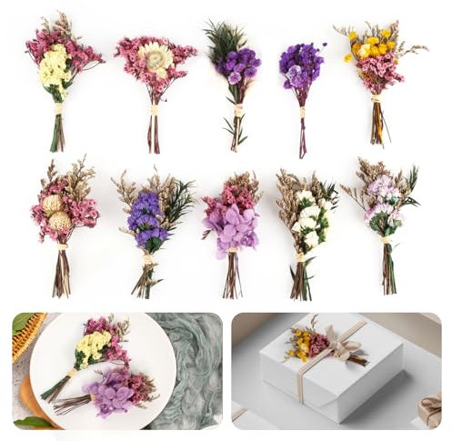 10 Bündel Trockenblumenstrauß, Bunt Trockenblumen Klein, Mini Trockenblumen zum Basteln, Ewige Getrocknete Blumen für Hochzeiten, Heimdekoration, Geschenkboxen