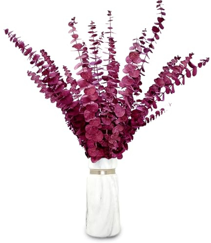 20 pcs Eucalipto Secado Naturales Flores Secas de 45cm, Planta de Eucalipto Rojo Fresco Natural Hecha de Ramas de Hojas de eucalipto Reales para Decoración de Casas, Fiestas, Bodas