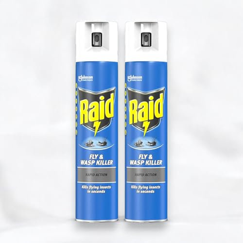 2 x 300ml Raìd Rapid Action Fly & Wasp Killer Spray, Leaves a Neutral Scent (Total 600ml)