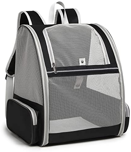 ALLSOPETS Hunderucksack Atmungsaktiver Haustier Rucksack für Kleine Katzen Hunde Welpen Faltbarer Katzenrucksack mit Sicherheitsgurten Ideal für Reisen Wandern Outdoor (Kohleschwarz)