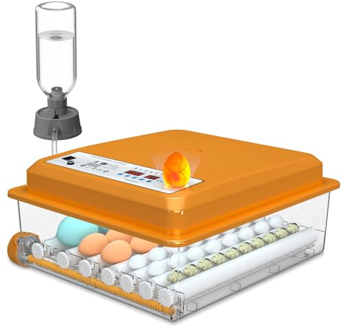 Chalixion Brutautomat Vollautomatisch 36 Eier mit Temperaturregelung, Brutmaschine mit 5 automatischen Brutmodi, Inkubator Feuchtigkeitsanzeige, Brutkasten automatischer Wasserauffüllung und Eierwende