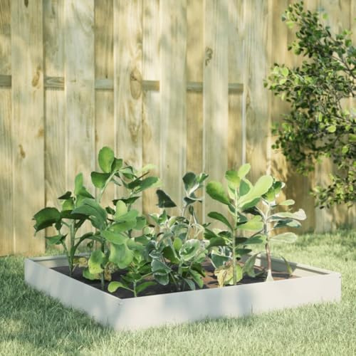 Bancal elevado, estable jardín, jardineras para exteriores, bancal alto, blanco, 100 x 100 x 26 cm, acero para centro de jardín, terraza, balcón, jardín de invierno