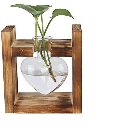 Tomotato Stazione di Propagazione per Piante, Terrario per Piante con Supporto in Legno, Mini Vaso da Tavolo in Vetro Trasparente a Forma di Cuore per Piante Idroponiche(1 Vaso)