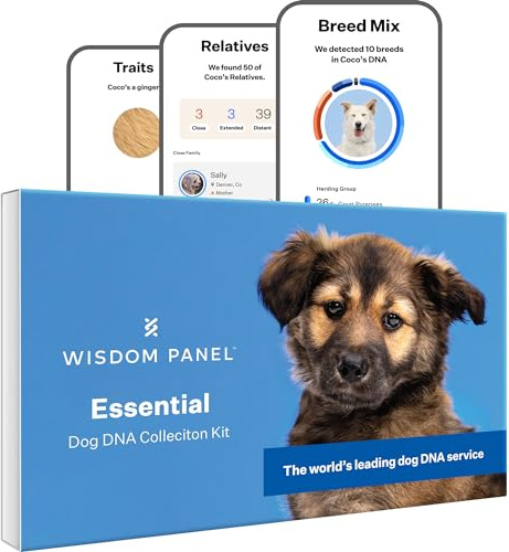 Wisdom Panel Essential – Test ADN de Chien pour ancêtres, Races, propriétés et Tests de santé