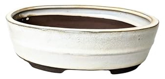 Vasi bonsai in ceramica smaltata senza vassoi (crema, 20 cm)