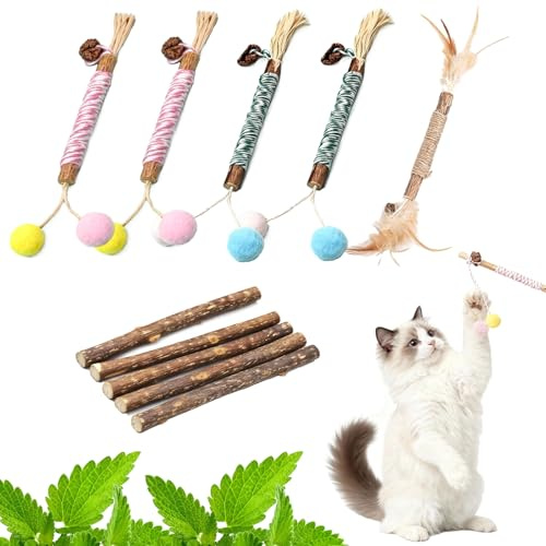 10Pcs Natural Silvervine for Cats, Silvervine chew Sticks for Cats Teeth Nip Cleaning, Catnip Toys for Indoor Kitten Teething and Stress, Interactive Toy with Feather and Ball Small & Medium Breeds