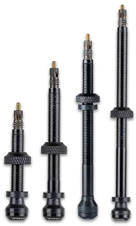 Schwalbe Tubeless Ventil – 2er Fahrradventil Set für Tubeless Reifen – 40/60/80/100 mm – Ventil für Gravel Bike, MTB, Rennrad & Trekking Fahrrad – einfach Montage & maximaler Luftdurchfluss