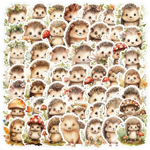 LYLSDSB Adesivi per riccio, 50 pezzi, in vinile, simpatici cartoni animati, per laptop, skateboard, scrapbook telefono, moto, computer, auto, bagagli, impermeabili, per bambini e ragazzi