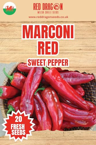 Marconi Red Sweet Pepper Seeds | Italian Frying Pepper Variety | Long Sweet Red Peppers | Easy to Grow Vegetable Seeds