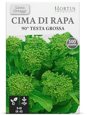 Semi Graffitati di CIMA DI RAPA 500 g – Ciclo 90 Giorni – Alta Germinazione – Semi Pelletizzati Professionali per Orto e Serra – Spedizione Gratis