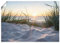 ARTLAND Wanddeko Poster & Kunstdrucke Wandposter 70x50 cm Strand Küste Ostsee Dünen Meer Landschaft Natur Meerblick T9QU