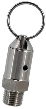 Pitycbo Soupape de Décharge de Pression pour Fûts de Bière, Compacte, Pièce de Rechange, Facile à Installer, Pièces de Fût En Acier Inoxydable, 100 Psis