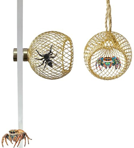 Heyshapeing Springende Spinne Versteck, Zubehör für Haustierspinnen, Spinnenversteck (Terrarium nicht im Lieferumfang enthalten), 2 Stück