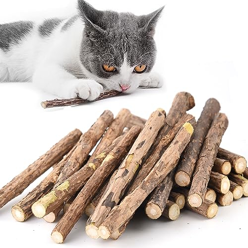 Onebarleycorn Katzenminze Sticks für Katzen, Matatabi Stick Katze Sticks Spielzeug Matabi katzensticks Katzenspielzeug für Zahnpflege,30 Stück