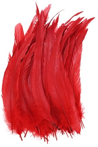 M METERXITY 20-Pack Natural Rooster Tail Feathers, 10-12 Inch / 25-30cm Long Rooster Tail Feathers for Crafting/Wedding/Dream Catcher/DIY Crafts Decorations [Red]