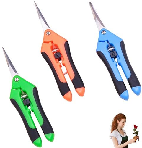 Lot de 3 ciseaux à rosiers pour bonsaï et plantes - Pour le jardinage et les plantes - Idéal pour le jardin et les plantes en pot
