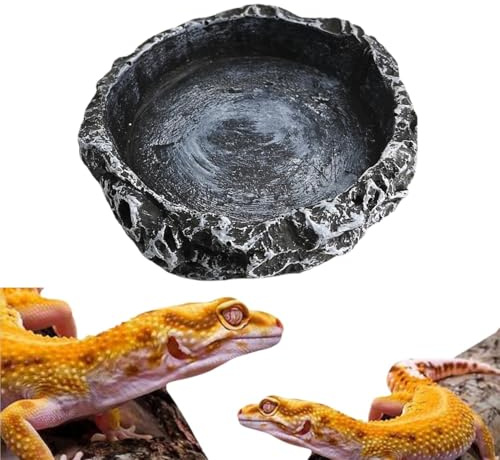 Bessy shop 8cm Reptile Feeding Bowl,Resin Water & Food Dish for Vivarium Tank,Feeding Accessories for Tortoise Lizard Snake Bearded Dragon Gecko Chameleon Frog