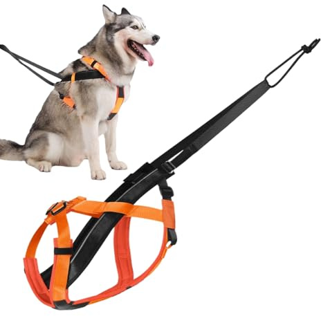 Dewireaey Arnés De Tiro para Perros,Arnés Reflectante para Running Canino - Correa de Tracción Ajustable para Entrenamiento Paseo Deporte Actividades Exteriores