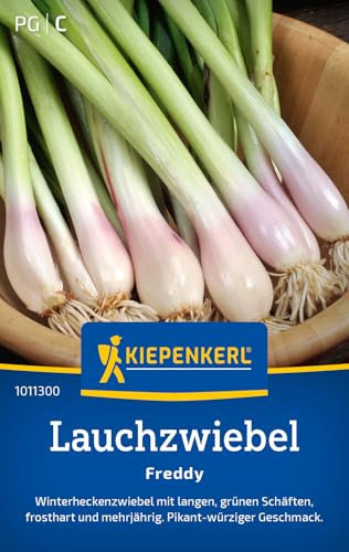 Kiepenkerl Lauchzwiebelsamen Freddy 1011300 - Gemüsesamen für Winterheckenzwiebeln mit einer Wuchshöhe von 30 bis 40 cm und Inhalt für 4 bis 6 lfd. Meter - Saatgut