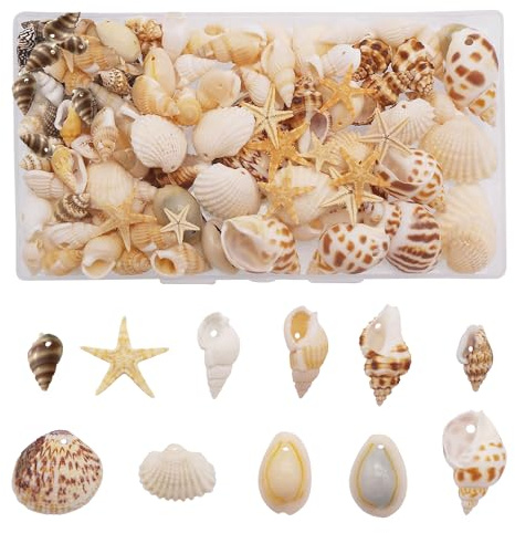 130 pcs Drilled Shells Natural Ocean Beach Spiral Seashells Conch Starfish Beads for Jewelry Making DIY Craft Home Decoration Small Size