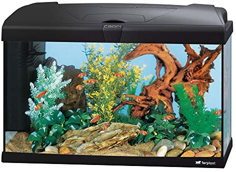 Ferplast Hydor Glasaquarium Capri 60 LED, LED-Lampe, 60 l Fassungsvermögen, Innenfilter und Heizung, schwarz