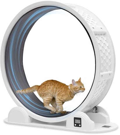 FASNATI Rueda de ejercicio para gatos con podómetro, rueda de gato sin ruido para gatos de interior, cinta de correr grande para gatos soporta hasta 25 kg, rueda de correr para gatos con pista
