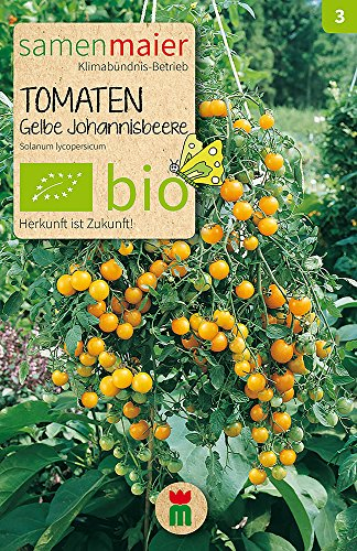BIO Tomaten Gelbe Johannisbeere Samen - Robust gegen Krankheiten, Buschartige Wuchsform, Ideal für Topf und Balkon - Aussaat Februar bis April - ca. 20 Korn - Samen Maier