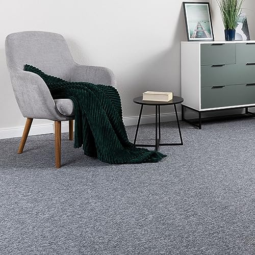 Steffensmeier Schlingen Teppichboden Meddon XL Meterware | Auslegware für Flur Büro | 1m 2m 3m 4m 5m breit! | Grau, Größe: 200x300 cm