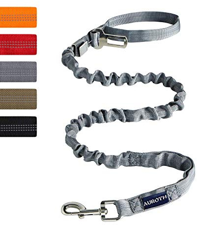 AUROTH Heavy Duty Dog Leash for Large Breeds, Bungee No Pull Leash with Shock Absorption, 6FT with 2 Padded Handles