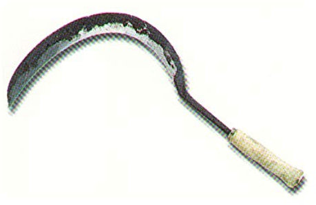 Hoz de Monte CARBALLO Fabricación Artesana para Cortar Hierba, Forraje y Maleza, Grande, Mango de Madera