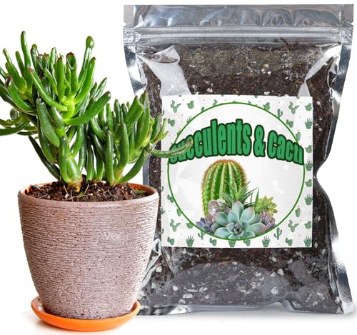 GOTVUGE Cactus and Succulent Potting Mix 10L, Well Draining Chunky Mix for Indoor Plants, Gritty Soil for Healthy Growth - Spike & Bloom