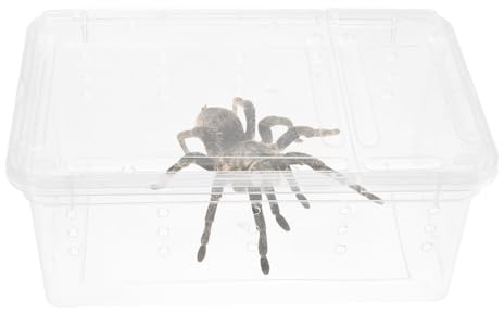 DIKACA Boîte D'élevage pour Reptiles Portable en Plastique Système de Ventilation Stable Adaptée aux Serpents et Geckos pour Utilisation en Extérieur
