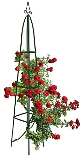 BAKAJI Supporto Per Piante Rampicanti Obelisco Arco Da Giardino Forma Piramide Altezza 2 Metri Colore Verde Scuro