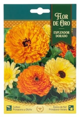 Semillas de Caléndula para Balcón, Terraza y Huerto Urbano con Floración Abundante DECOALIVE