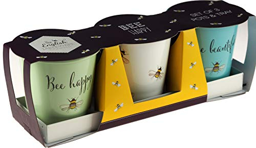 Set of 3 English Tableware Bee Happy Enamel Plant Herb Flower Planter Pots with Tray