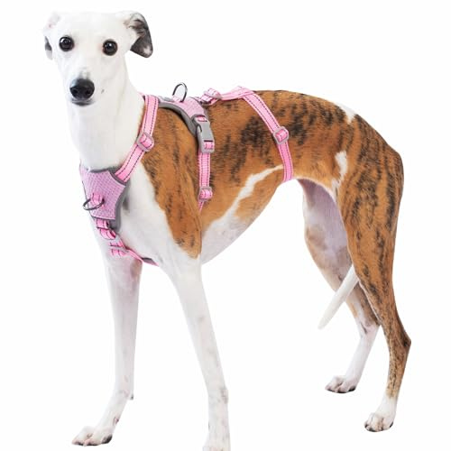 Huntboo Arnes Antiescape Perro Pequeño Mediano Grande, Arnés Antitirones para Perros, Reflectante, Duradero, Chaleco Ajustable y Transpirable para Paseos y Entrenamientos (Rosa,S)