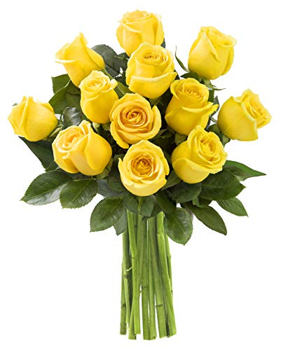 KaBloom PRIME NEXT DAY DELIVERY - Fall Collection - Bouquet of 12 Fresh Yellow Roses Fresh For Delivery Prime.Gift for Birthday, Get Well, Thank You, Valentine, Mother’s Day Fresh Flowers