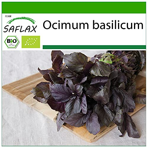 SAFLAX - BIO - Basilico Rosso - 400 semi - Ocimum basilicum