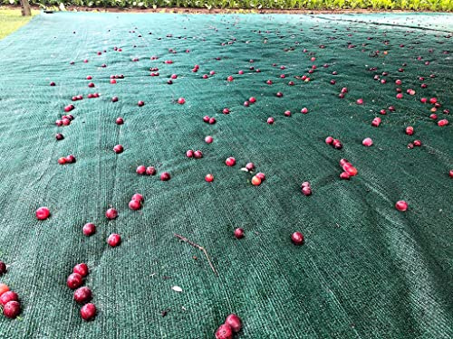 AGROFLOR Erntenetz | für Obst, Walnüsse, Buchecker, Olivenbäume | 7,20 x 7,20 m | 2 Seiten mit Verstärktem Rand und Schlitz bis zur Mitte | 2 Seiten nur Geschnitten