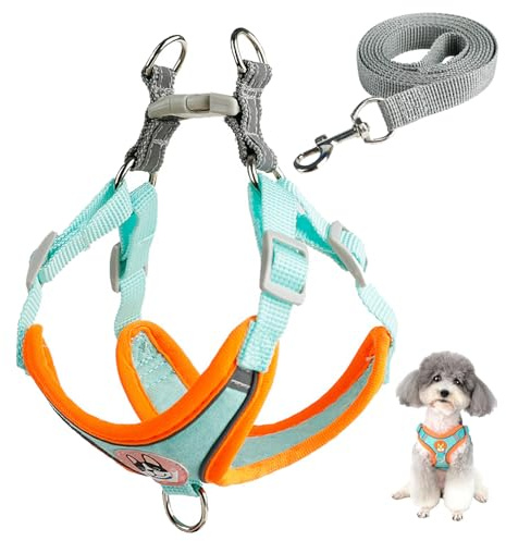 ZWWOGE Ensemble Harnais et Laisse pour Chien, Réglable avec Rembourrage Doux et Respirant, Harnais Poitrine Réglable pour Chiens de Petite et Moyenne Taille, vert M