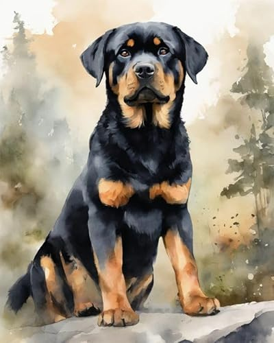 Malen nach Zahlen DIY Handgemalt Ölgemälde Kits für Erwachsene Anfänge Rottweiler auf den Felsen Malen Nach Zahlen Kits für Geschenk Home Deko 40×50cm(Rahmenlos)