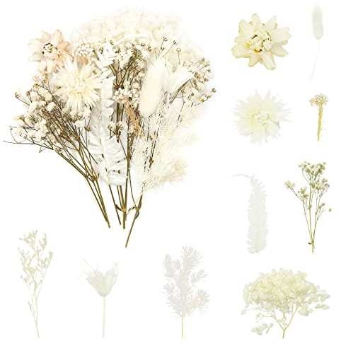 ANLIOTO Trockenblumen zum Basteln, Trockenblumen Klein, Trockenblumen Weiß, Trockenblumen Deko für Zubehör Handgemachte Heimdekoration Hochzeit