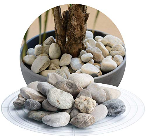 Schicker Mineral Isarkies Zierkies bunt 16-32 mm 25 kg, natürlich gerundeter Flusskies, witterungsbeständig, Gartengestaltung
