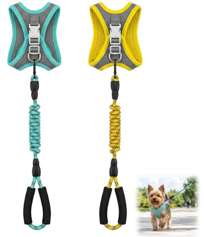 2 Pièces Harnais Chien avec Laisse, Anti Traction pour Chien Petit, Respirant Réfléchissan Réglable Harnais pour Chiot & Chat, Sécurité et Confort, Jaune & Vert Taille 1-3kg